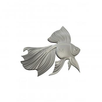 3D model Goldfish (STL)